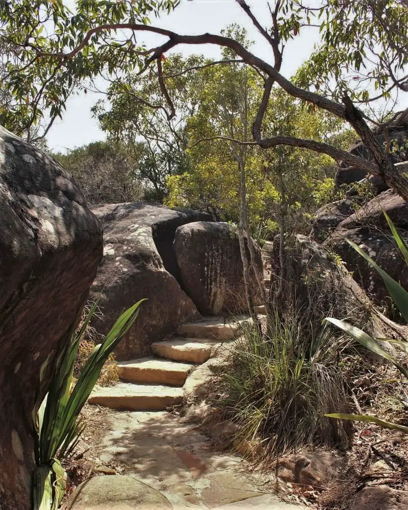 Wattamolla Creek dam walking track.