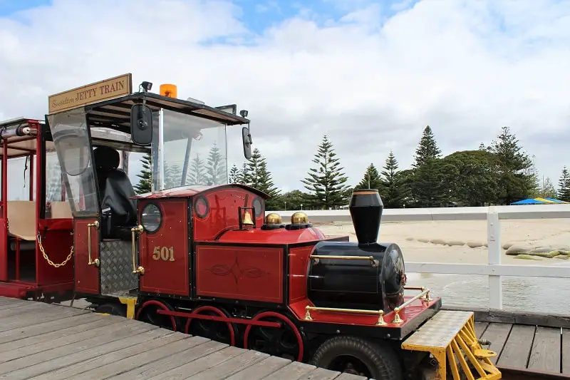 The best things to do in Busselton Western Australia. Enjoy gorgeous beaches, Busselton Jetty Train & Underwater Observatory, pristine forest, whale watching in Geographe Bay, camping & a possum trail!