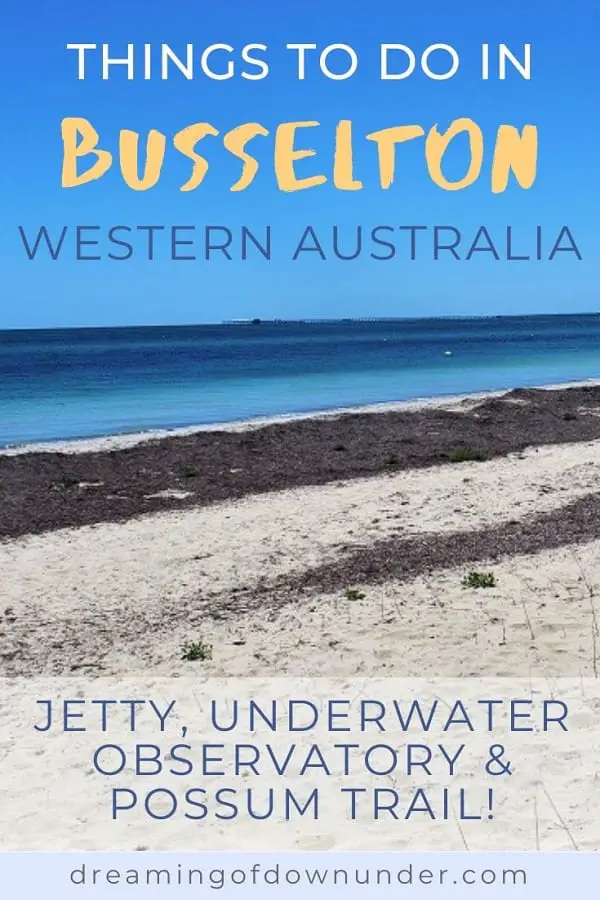 The best things to do in Busselton Western Australia. Enjoy gorgeous beaches, Busselton Jetty Train & Underwater Observatory, pristine forest, whale watching in Geographe Bay, camping & a possum trail!