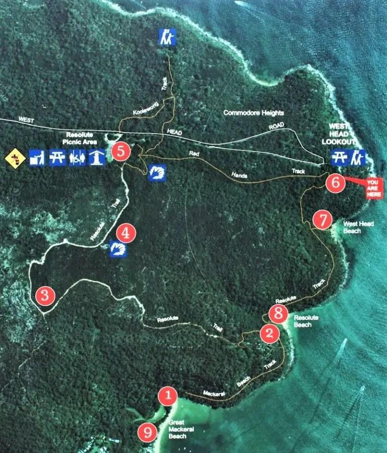 Stunning Walk to West Head Lookout in KuRingGai Chase National Park Dreaming of Down Under