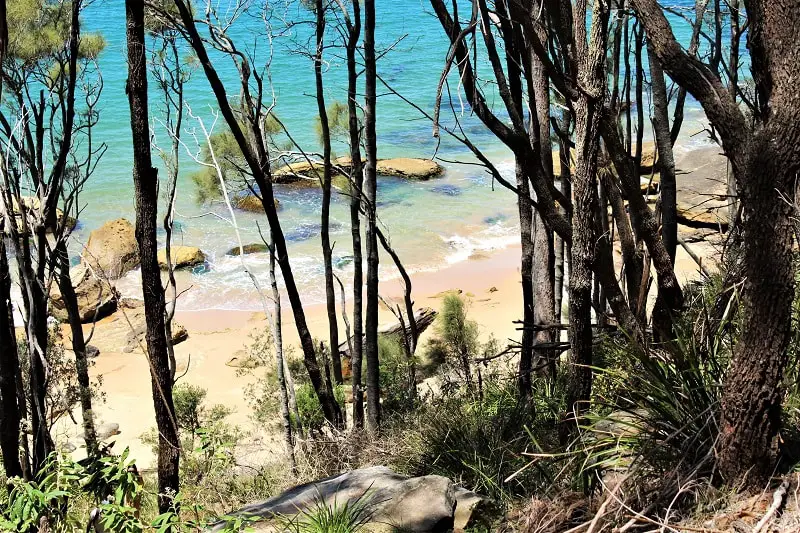 Looking down on Resolute Beach in Ku-Ring-Gai Chase National Park.