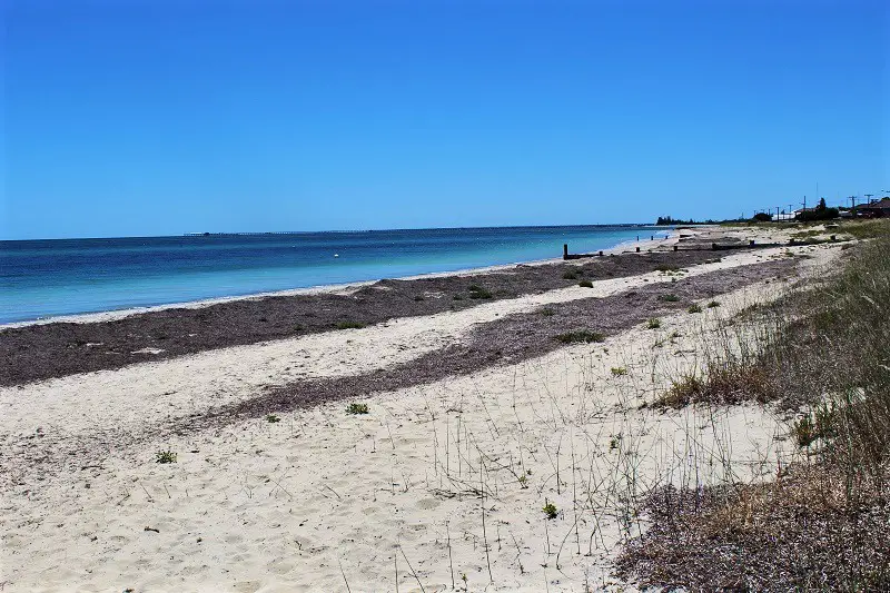 Best Things to Do in Busselton for a Fantastic Holiday