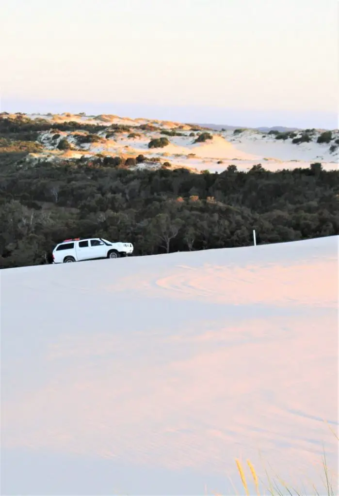 Visit Yeagarup Sand Dunes near Pemberton, Western Australia. Find out how to visit these stunning dunes in D'Entrecasteaux National Park WA by foot or 4WD, where to camp, and see amazing sunset pictures.