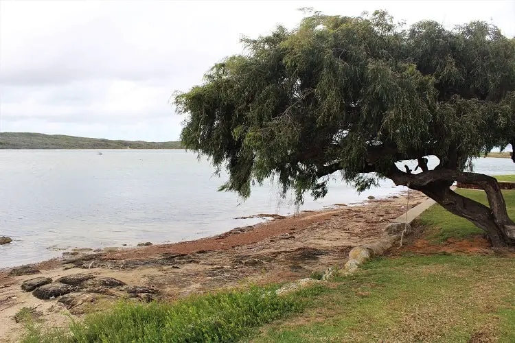 20 beautiful pictures of Hamelin Bay Australia & Cape Leeuwin Lighthouse at Australia's most south-western point. See the Hamelin Bay jetty ruins, Cape Leeuwin waterwheel & dolphins in Augusta Western Australia. The perfect detour from Margaret River.