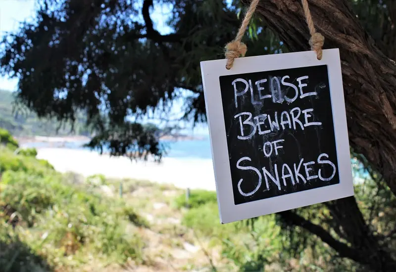 A warning sign to beware of snakes at Bunkers Beach House cafe in Australia!