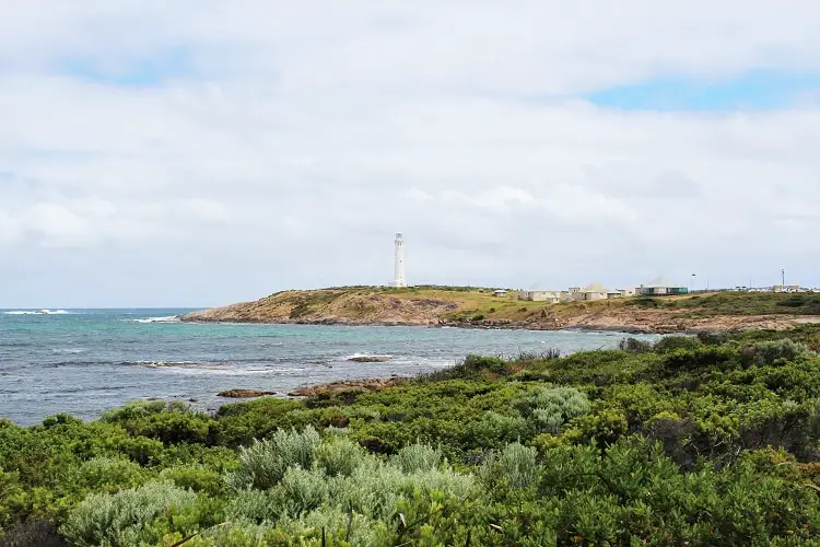 20 beautiful pictures of Hamelin Bay Australia & Cape Leeuwin Lighthouse at Australia's most south-western point. See the Hamelin Bay jetty ruins, Cape Leeuwin waterwheel & dolphins in Augusta Western Australia. The perfect detour from Margaret River.