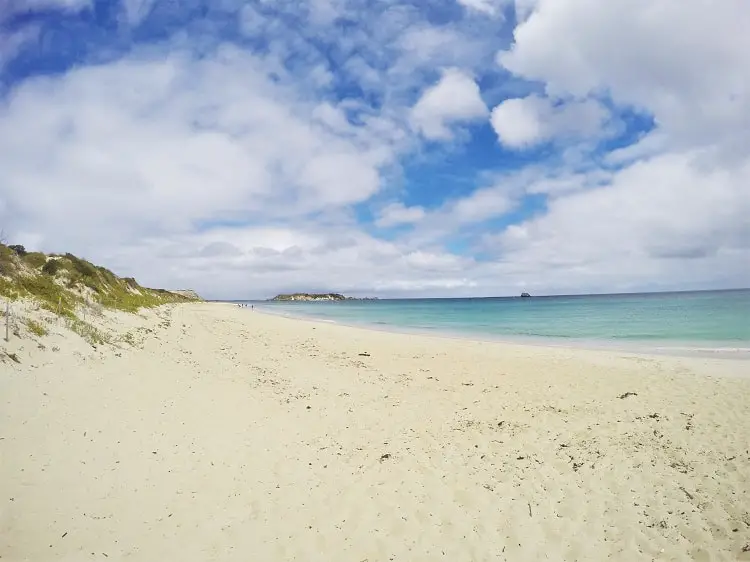 20 beautiful pictures of Hamelin Bay Australia & Cape Leeuwin Lighthouse at Australia's most south-western point. See the Hamelin Bay jetty ruins, Cape Leeuwin waterwheel & dolphins in Augusta Western Australia. The perfect detour from Margaret River.