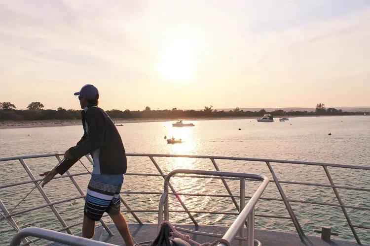 Man working on a Naturaliste Charters tour in Western Australia.