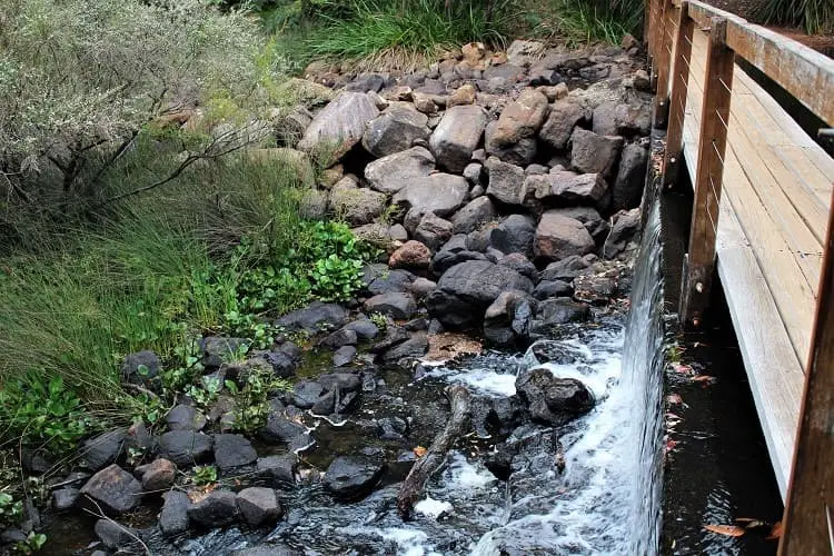 Bridge on a walk in Margaret River, WA.