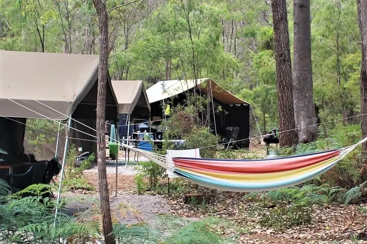 Hammock and glamping tents at RAC Margaret River Nature Park.