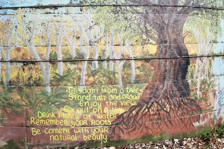 Tree mural at Wharncliffe Mill eco camping ground.
