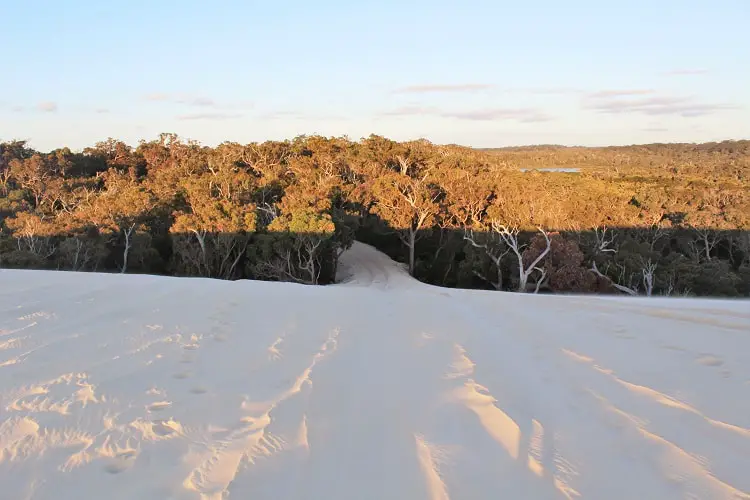 Visit Yeagarup Sand Dunes near Pemberton, Western Australia. Find out how to visit these stunning dunes in D'Entrecasteaux National Park WA by foot or 4WD, where to camp, and see amazing sunset pictures.