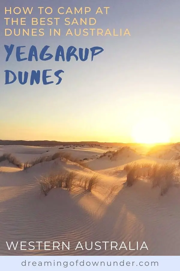 Visit Yeagarup Sand Dunes near Pemberton, Western Australia. Find out how to visit these stunning dunes in D'Entrecasteaux National Park WA by foot or 4WD, where to camp, and see amazing sunset pictures.