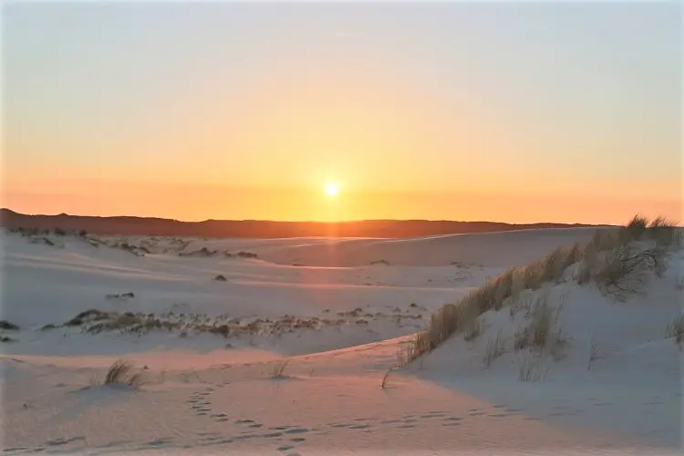 Visit Yeagarup Sand Dunes near Pemberton, Western Australia. Find out how to visit these stunning dunes in D'Entrecasteaux National Park WA by foot or 4WD, where to camp, and see amazing sunset pictures.