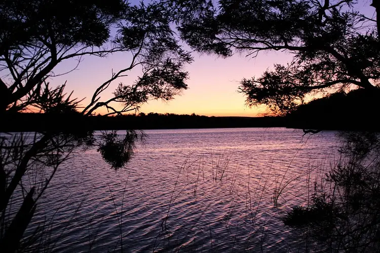 Visit Yeagarup Sand Dunes near Pemberton, Western Australia. Find out how to visit these stunning dunes in D'Entrecasteaux National Park WA by foot or 4WD, where to camp, and see amazing sunset pictures.