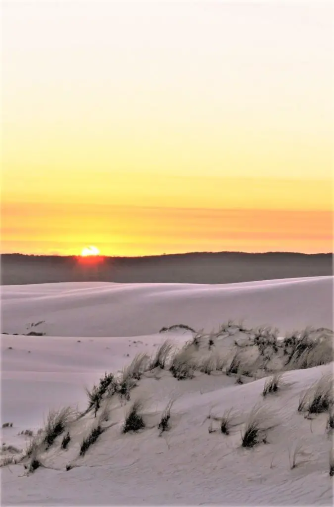 Visit Yeagarup Sand Dunes near Pemberton, Western Australia. Find out how to visit these stunning dunes in D'Entrecasteaux National Park WA by foot or 4WD, where to camp, and see amazing sunset pictures.