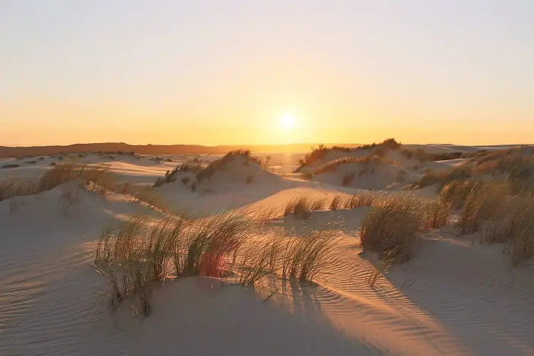 Visit Yeagarup Sand Dunes near Pemberton, Western Australia. Find out how to visit these stunning dunes in D'Entrecasteaux National Park WA by foot or 4WD, where to camp, and see amazing sunset pictures.