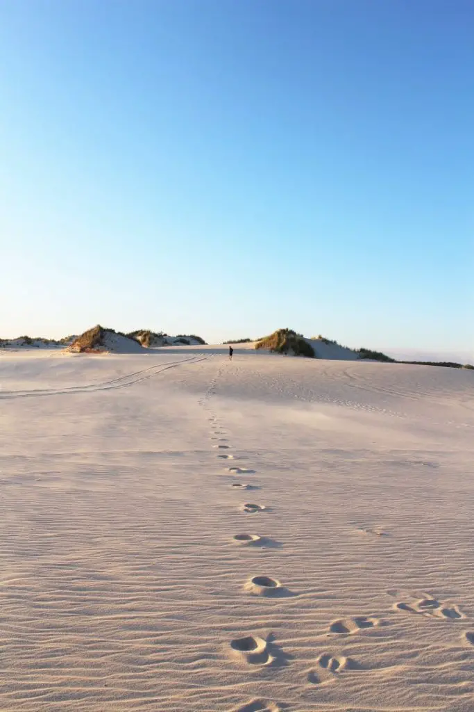 Visit Yeagarup Sand Dunes near Pemberton, Western Australia. Find out how to visit these stunning dunes in D'Entrecasteaux National Park WA by foot or 4WD, where to camp, and see amazing sunset pictures.