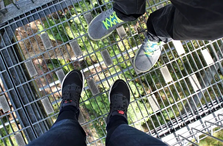 Visit the famous Valley of the Giants Australia, a 40 metre-high tree top walk in Walpole WA that lets you admire the vast height of the ancient red tingle trees, some over 400 years old, that are found nowhere else in the world apart from the Walpole Wilderness region of Western Australia.