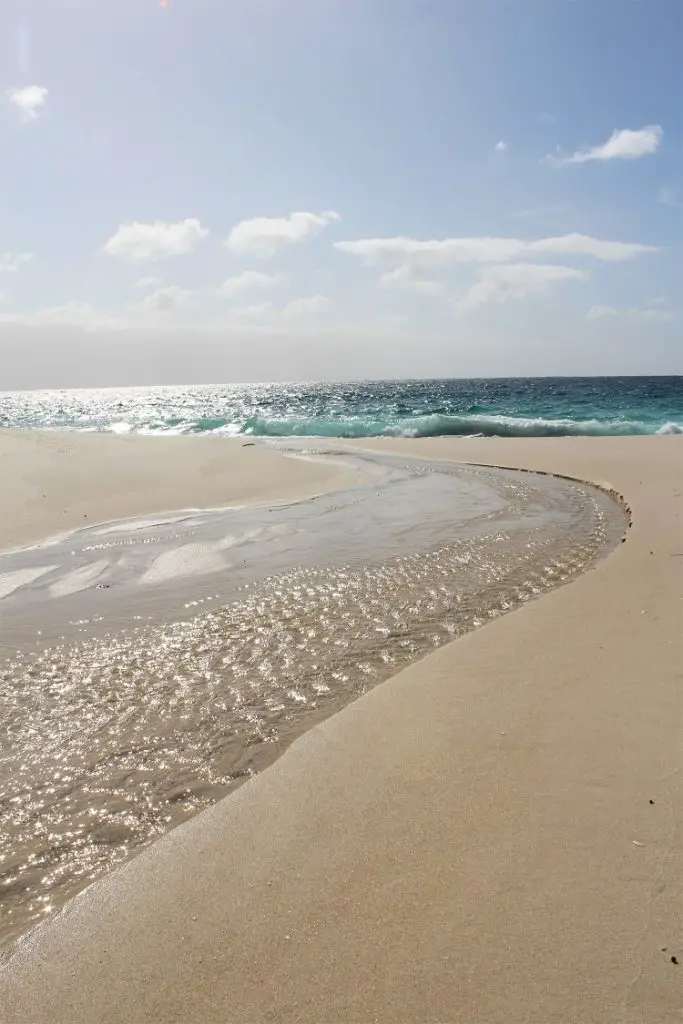 My awesome night at Shelley Beach camping ground in Cape West Howe National Park, WA, one of the most beautiful campsites in Western Australia. Read how I met and an orphaned baby kangaroo and why I spent two hours with my arm down a compost toilet!