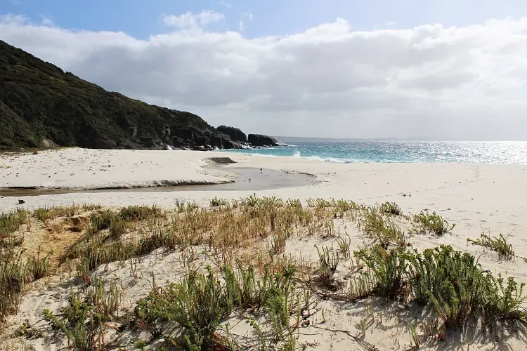 My awesome night at Shelley Beach camping ground in Cape West Howe National Park, WA, one of the most beautiful campsites in Western Australia. Read how I met and an orphaned baby kangaroo and why I spent two hours with my arm down a compost toilet!