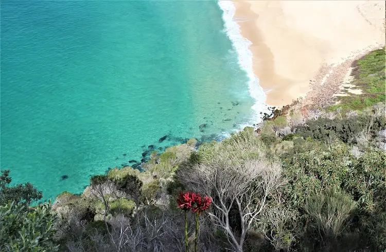 25 Best Beaches in NSW You Have to Visit