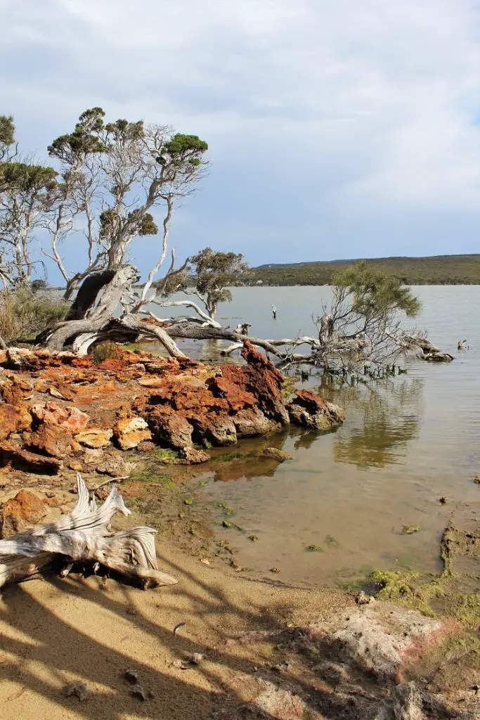 Beautiful lake at Millers Point Reserve camping ground, WA.