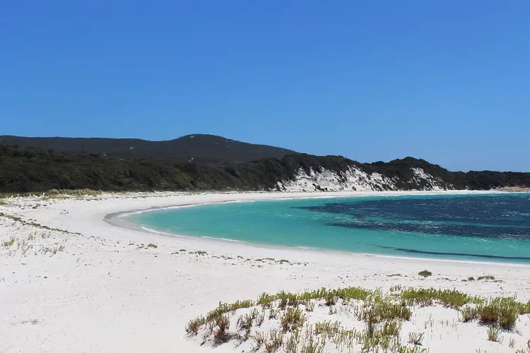 A stunning curved white beach with sand dunes at Frenchman Bay in Albany.