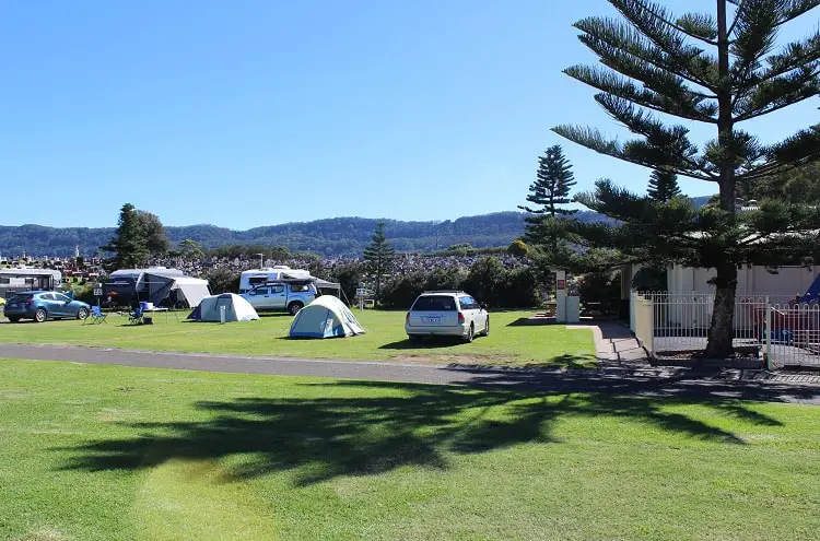 Tents and cars at the camping area at Bulli Beach Tourist Park.