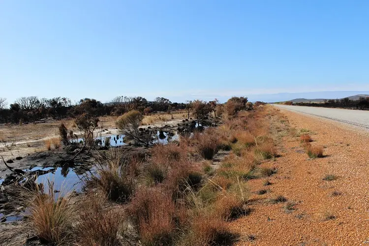 The best things to do in Esperance, Western Australia, a coastal town known for its stunning white beaches such as Lucky Bay, home to wild kangaroos. Find out where to go walking and camping in beautiful Cape Le Grand National Park and how to see a pink lake!