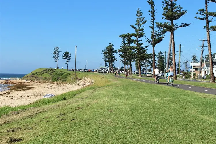 Cyclists on the cycle path through Bulli, behind Bulli Beach Cafe on a sunny day.