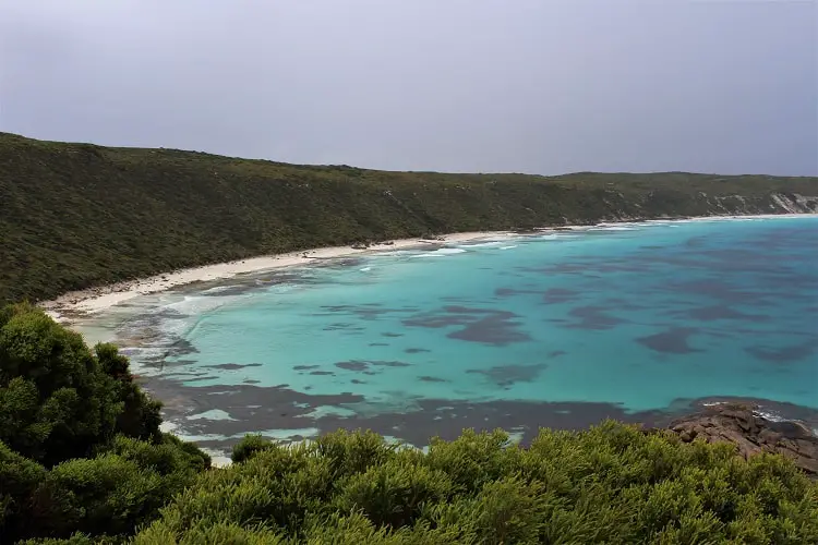 The best things to do in Esperance, Western Australia, a coastal town known for its stunning white beaches such as Lucky Bay, home to wild kangaroos. Find out where to go walking and camping in beautiful Cape Le Grand National Park and how to see a pink lake!