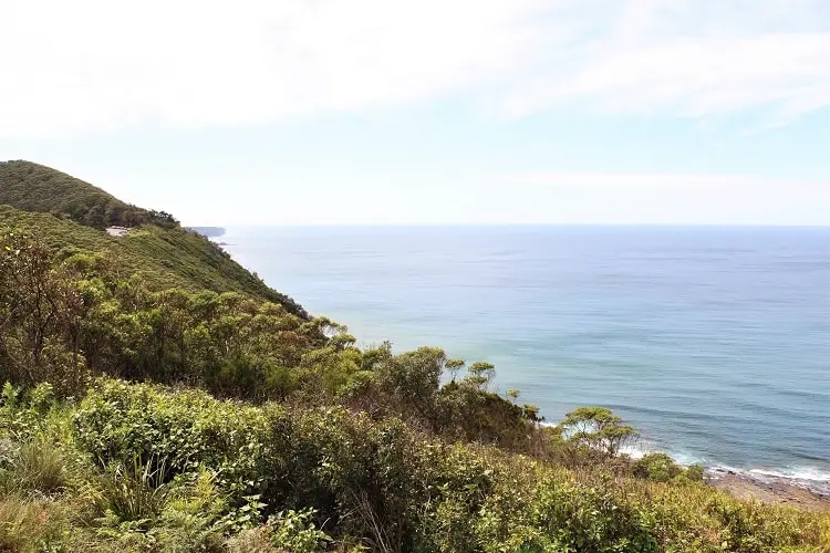  Looking up towards the Royal National Park from the Otford Lookout.