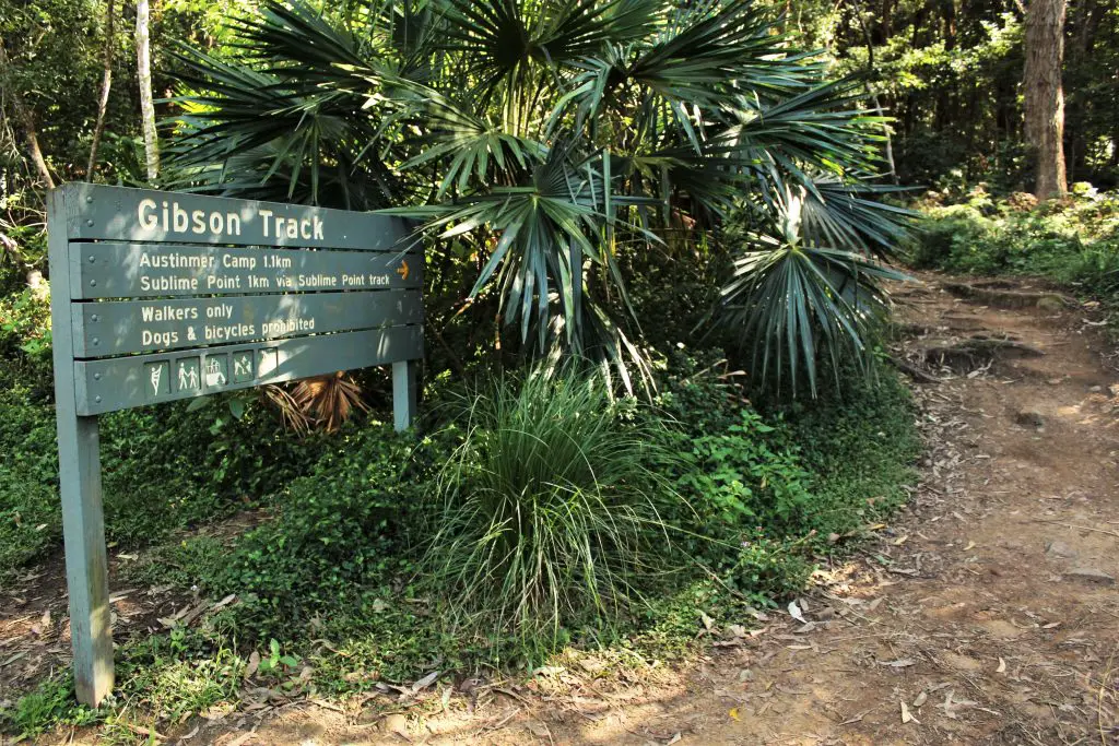 The start of Sublime Point track behind Foothills Rd in Austinmer.