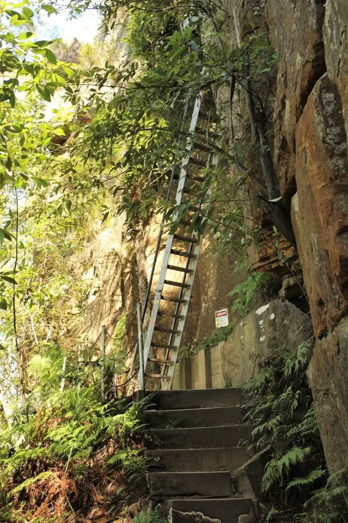 Ladders at the top of Sublime Point track in NSW.