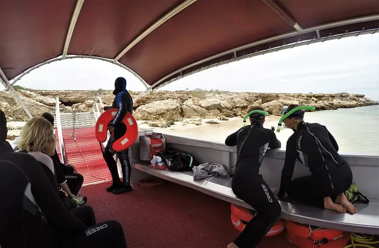 Tourists on a boat in South Australia, about to swim with dolphins and sea lions.