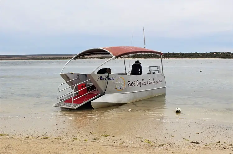 Baird Bay Ocean Eco Experience boat about to set off.