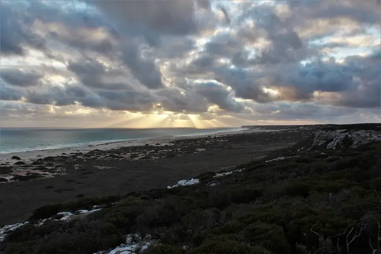 nullarbor road trip