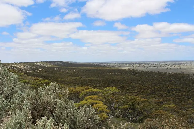 nullarbor road trip