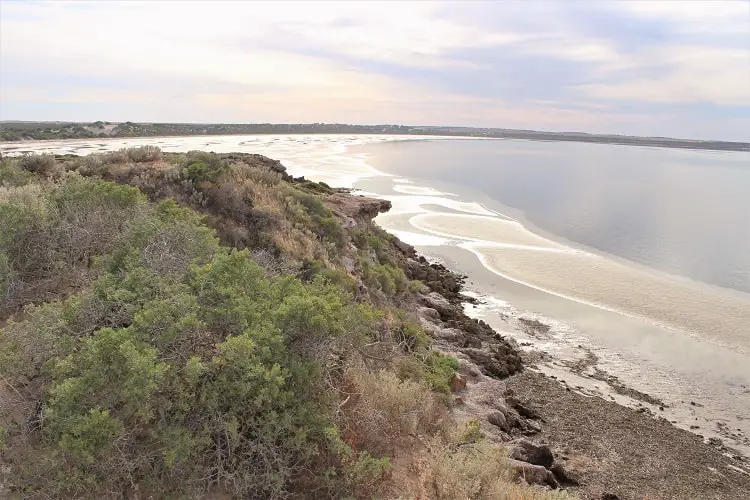 Wittelbee Conservation Park and camping ground.