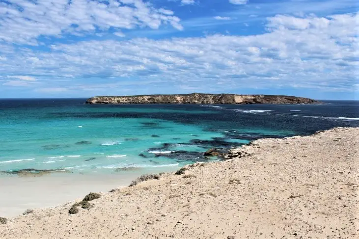 Top Things to Do in Port Lincoln, SA: The Stunning Eyre Peninsula