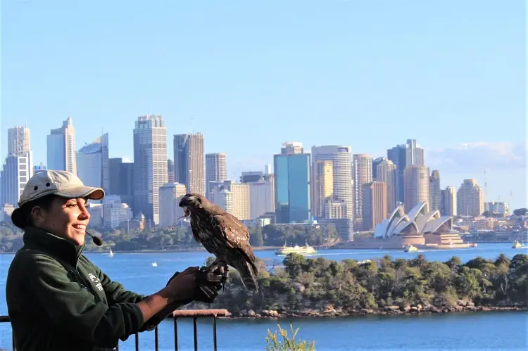 Staff member holding a bird at Taronga Zoo, with the Sydney Opera House and city behind.