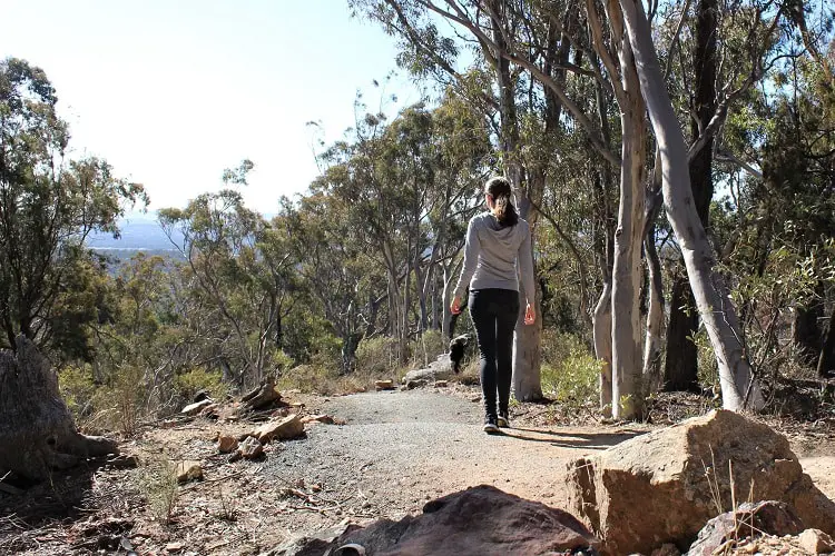 day trips in canberra