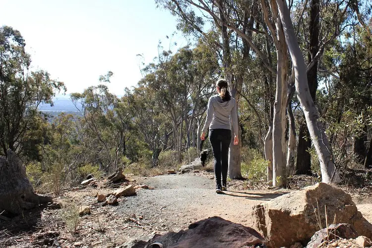 tour di canberra