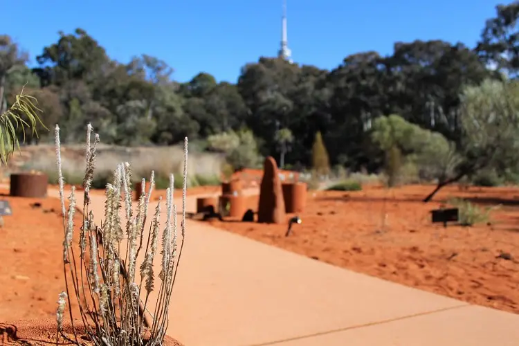 tour di canberra