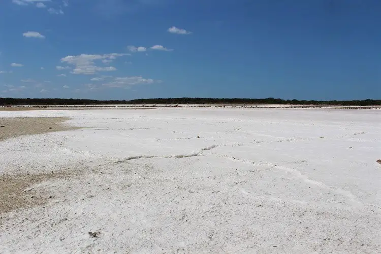 Camping in Coorong National Park, South Australia, an extensive wetland near Adelaide home to the 130km Coorong lagoon, salt lakes and sand dunes.