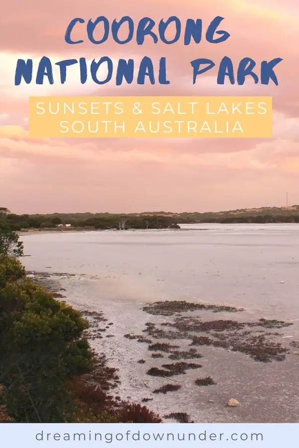 Discover things to do in Coorong National Park, South Australia. Visit salt lakes, go camping and find the best hikes.