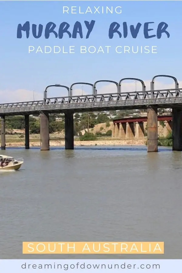 Review of a Murray River paddle boat cruise in South Australia.