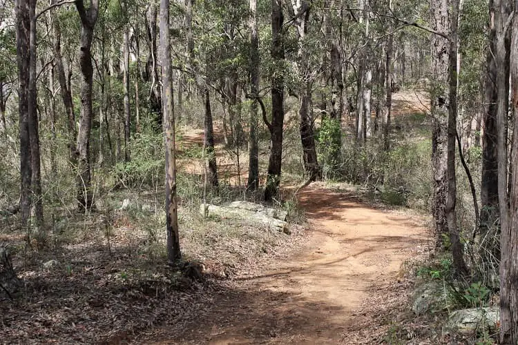 Fire trail from Bimbadeen Lookout in Hunter Valley.