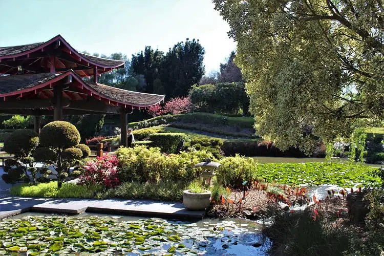 Oriental Garden in Hunter Valley.